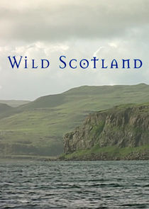 Wild Scotland Ne Zaman?'