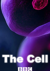 The Cell Ne Zaman?'