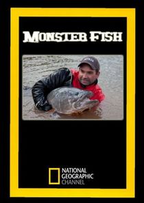 Monster Fish Ne Zaman?'