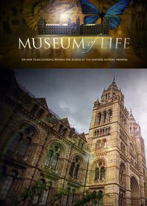 Museum of Life Ne Zaman?'