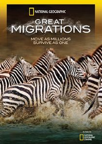 Great Migrations Ne Zaman?'