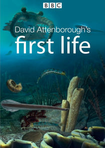 David Attenborough's First Life Ne Zaman?'