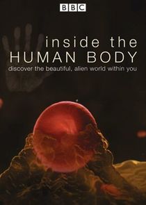 Inside the Human Body Ne Zaman?'