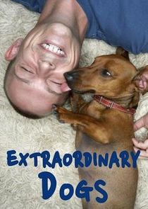 Extraordinary Dogs Ne Zaman?'