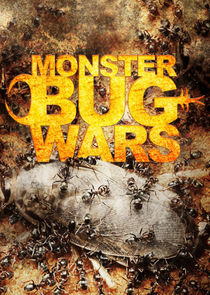Monster Bug Wars Ne Zaman?'
