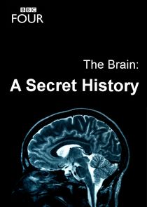 The Brain: A Secret History Ne Zaman?'
