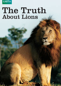 The Truth About Lions Ne Zaman?'