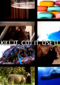 Kill It, Cut It, Use It Ne Zaman?'