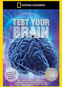 Test Your Brain Ne Zaman?'