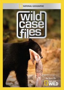 Wild Case Files Ne Zaman?'