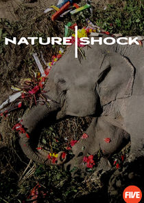Nature Shock Ne Zaman?'