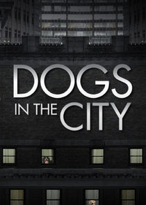 Dogs in the City Ne Zaman?'