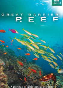 Great Barrier Reef Ne Zaman?'