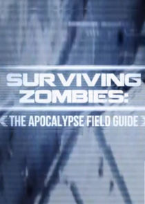 Surviving Zombies Ne Zaman?'