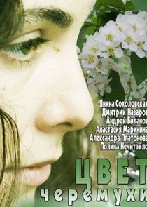 Цвет черёмухи Ne Zaman?'