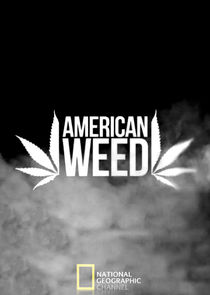 American Weed Ne Zaman?'