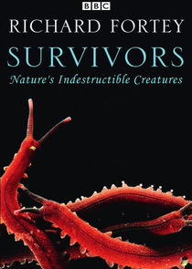Survivors: Nature's Indestructible Creatures Ne Zaman?'