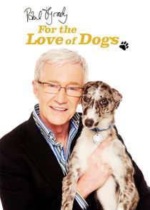 Paul O'Grady: For the Love of Dogs Ne Zaman?'