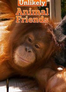 Unlikely Animal Friends Ne Zaman?'