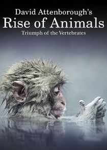 David Attenborough's Rise of Animals Ne Zaman?'