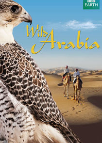 Wild Arabia Ne Zaman?'