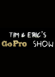 Tim and Eric's Go Pro Show Ne Zaman?'