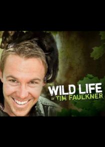 The Wild Life of Tim Faulkner Ne Zaman?'
