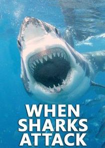 When Sharks Attack Ne Zaman?'