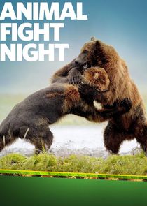 Animal Fight Night Ne Zaman?'