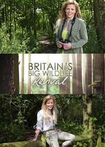 Britain's Big Wildlife Revival Ne Zaman?'
