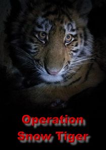 Operation Snow Tiger Ne Zaman?'