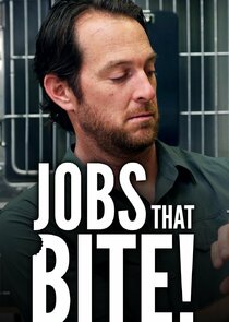 Jobs That Bite! Ne Zaman?'