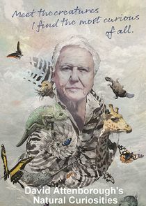 David Attenborough's Natural Curiosities Ne Zaman?'