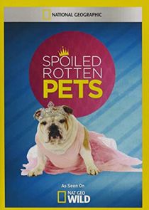 Spoiled Rotten Pets Ne Zaman?'