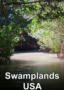 Swamplands USA Ne Zaman?'