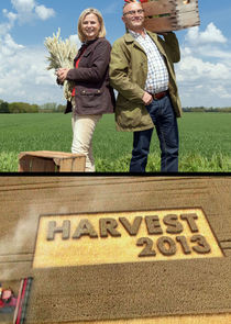 Harvest Ne Zaman?'