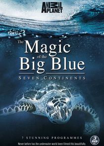 The Magic of the Big Blue Ne Zaman?'
