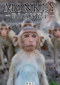 Monkey Planet Ne Zaman?'