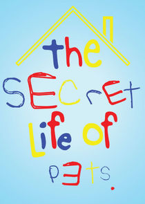The Secret Life of Pets Ne Zaman?'