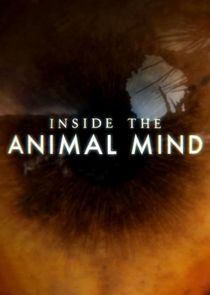 Inside the Animal Mind Ne Zaman?'