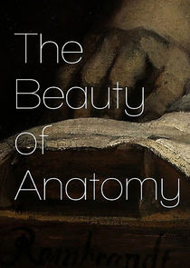 The Beauty of Anatomy Ne Zaman?'