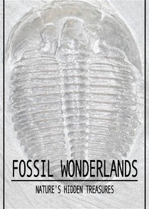 Fossil Wonderlands: Nature's Hidden Treasures Ne Zaman?'