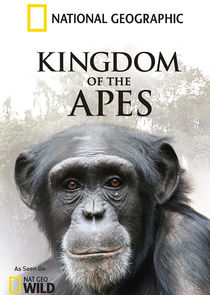 Kingdom of the Apes Ne Zaman?'