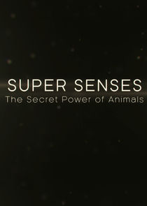 Super Senses: The Secret Power of Animals Ne Zaman?'