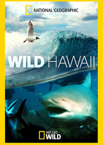 Wild Hawaii Ne Zaman?'