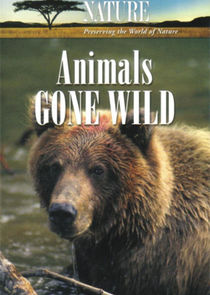 Animals Gone Wild Ne Zaman?'