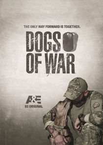 Dogs of War Ne Zaman?'