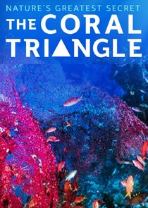 Coral Triangle Ne Zaman?'