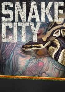 Snake City Ne Zaman?'