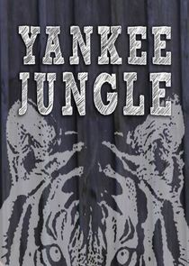Yankee Jungle Ne Zaman?'